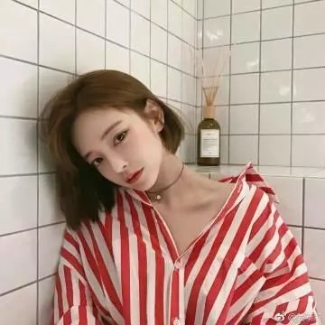 哈巴狗的回忆海报